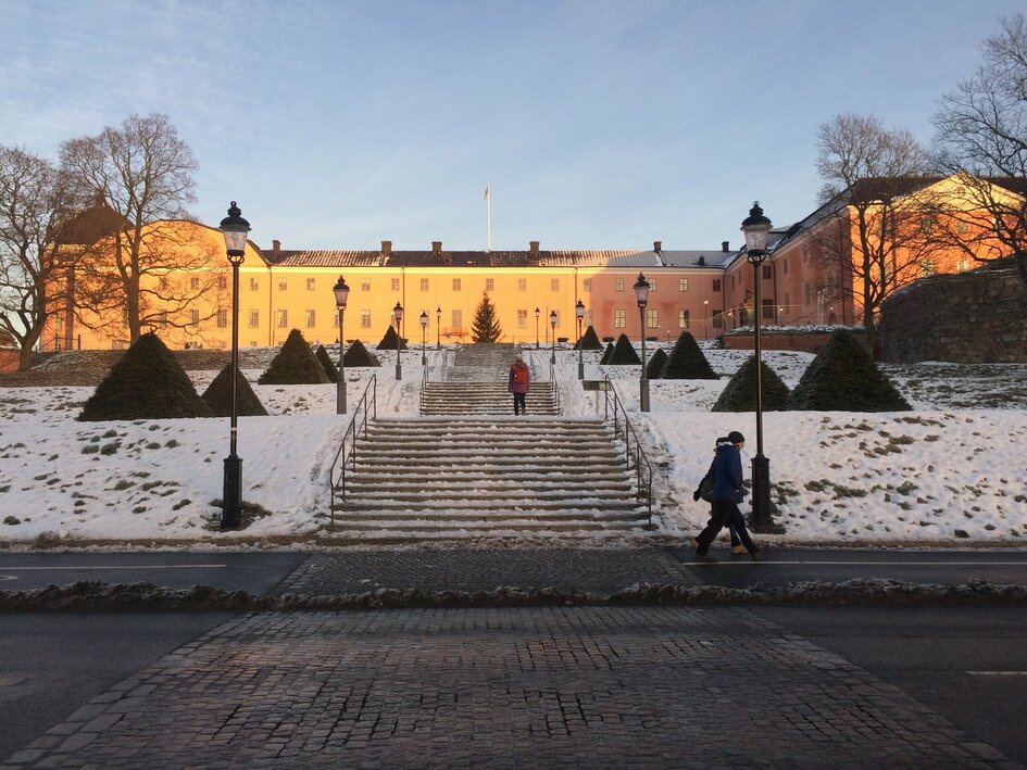 Uppsala loss